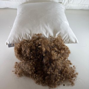 Camel Filled Cushion Pad